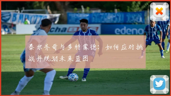 泰尔齐奇与多特蒙德:如何应对挑战并规划未来蓝图