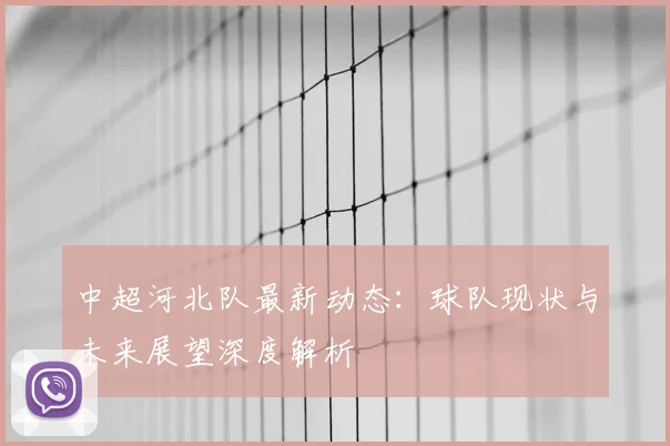 中超河北队最新动态：球队现状与未来展望深度解析
