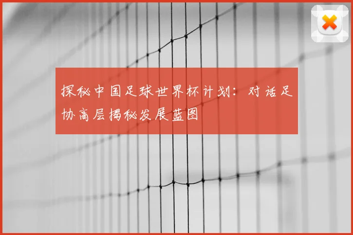 探秘中国足球世界杯计划:对话足协高层揭秘发展蓝图