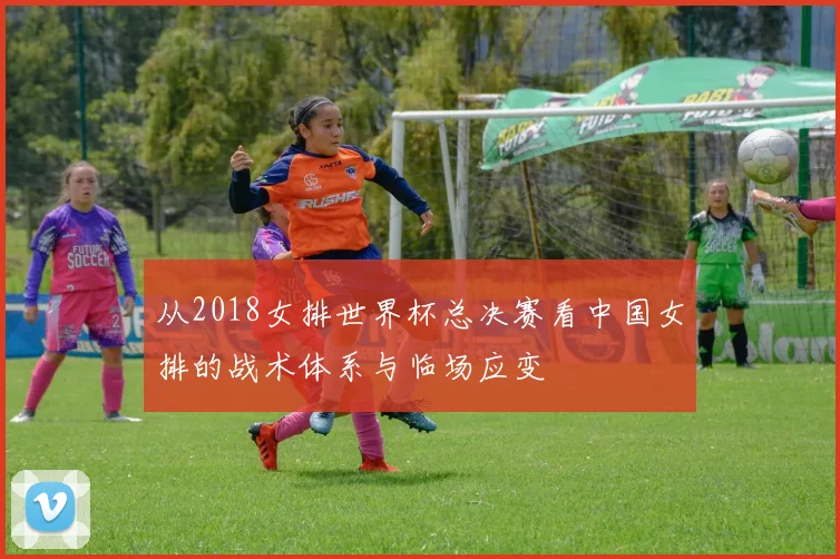 从2018女排世界杯总决赛看中国女排的战术体系与临场应变